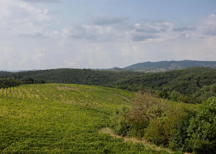 شقة Cs كاستيلْنْوافو بيراردين